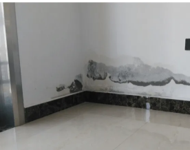 花都周邊專業防水補漏服務 全面解決廁所漏水、窗臺滲水與衛生間維修難題